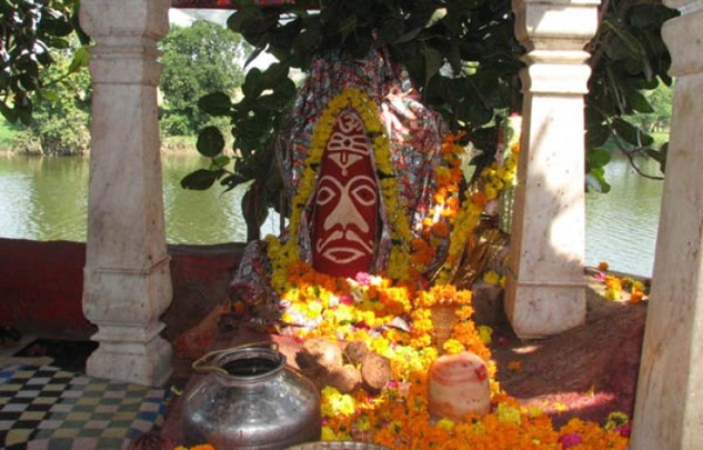 naidunia_image